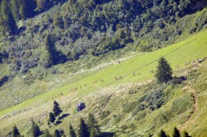 LATEMAR VERTICAL KM 2016 (PH ELVIS) 28899